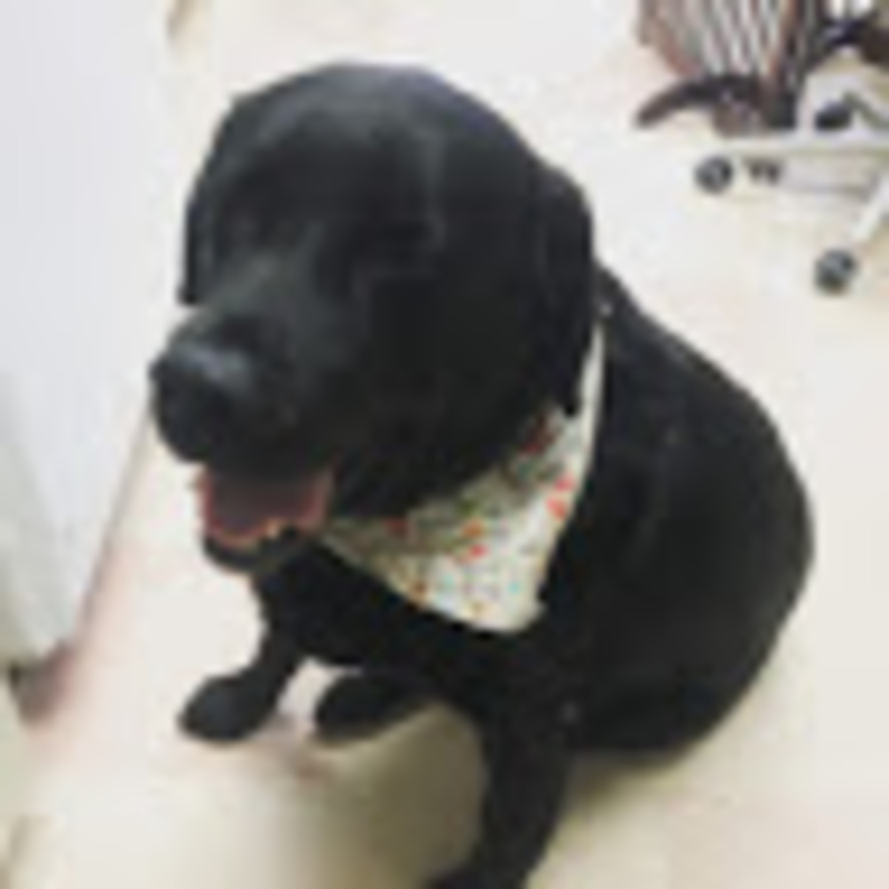 Meet your Posher, Angie